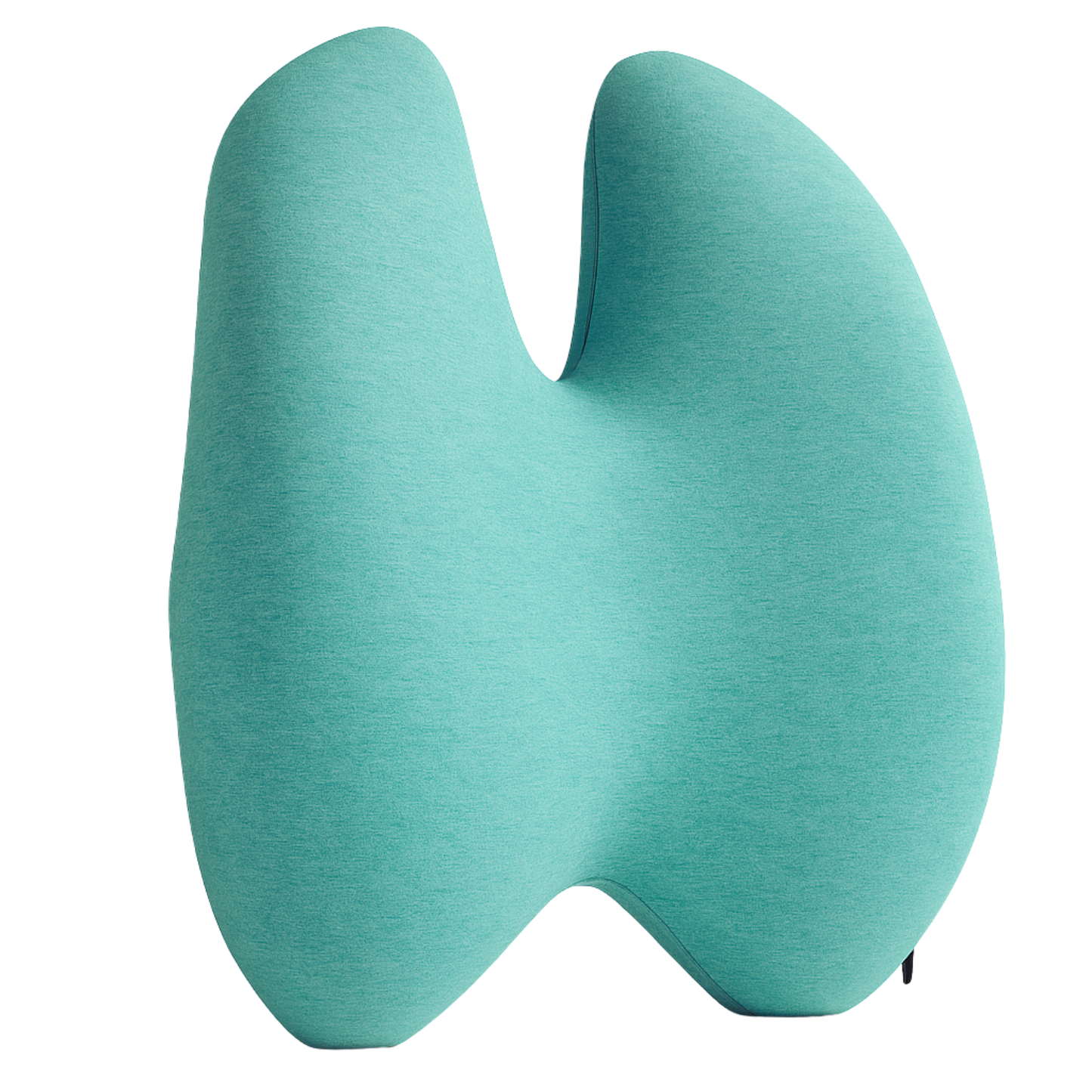Back Lumbar Support Pillow