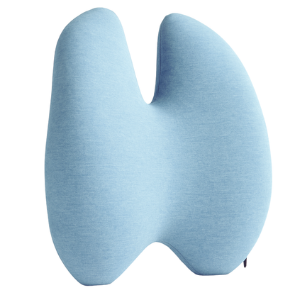 Back Lumbar Support Pillow