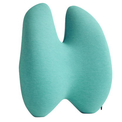Back Lumbar Support Pillow