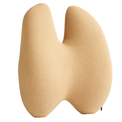 Back Lumbar Support Pillow